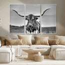 Texas Longhorn Cow Wall Art, Texas Longhorn Canvas, Cattle