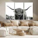 Longhorn Canvas Print, Bighorn Cow Wall Art Canvas Print