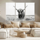 Highland Cow Canvas Wall Art – Majestic Beauty in Black and