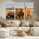 Highland Cow Canvas Wall Art Animal Print for Farm House