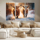 Scottish Highland Cow Horn Farm Wall Art Canvas Print by MyGreatCanvas | Canvas Wall Art Prints | Photo Prints & Wall Decor
