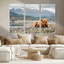 Highland Cow Horn Farm Wall Art Canvas Print