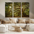 Ancient Angel Oak Tree Art Sunburst Canvas Print-