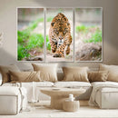 Leopard on the Prowl - Stunning Large Framed Leopard Wall