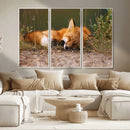 Sleeping Fox Wall Art Canvas Print, Farmhouse Wall Decor and