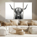 Highland Wall Art Canvas Print – Minimalist Black and White