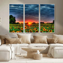 Golden Sunflower Field at Sunset – Breathtaking Sky and