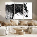 Majestic Horse Wall Art – Framed Black White Portrait Canvas by MyGreatCanvas | Canvas Wall Art Prints | Photo Prints & Wall Decor