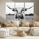 Highland Cow Wall Art Canvas Print – Black and White Western