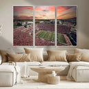 Indiana Memorial Stadium Wall Art Canvas Print, Framed