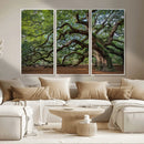 Historic Tree Wall Art – Framed Mossy Branch Canvas Artwork, by MyGreatCanvas | Canvas Wall Art Prints | Photo Prints & Wall Decor