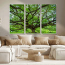 Ancient Tree Wall Art Canvas Print, Framed Sprawling by MyGreatCanvas | Canvas Wall Art Prints | Photo Prints & Wall Decor
