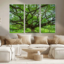 Oak Tree Wall Art Print, Forest Canvas Wall Art for Home and by MyGreatCanvas | Canvas Wall Art Prints | Photo Prints & Wall Decor