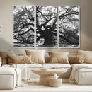 Ancient Oak Wall Art Canvas Print – Gnarled Tree Twisted by MyGreatCanvas | Canvas Wall Art Prints | Photo Prints & Wall Decor