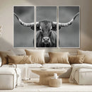 Texas Longhorn Wall Art Canvas Print – Framed Western Bull
