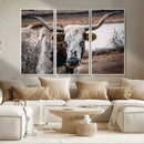 Texas Longhorn Wall Art Canvas Print – Framed Spotted Bull