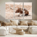 Texas Longhorn Wall Art Canvas Print – Framed Resting Bull by MyGreatCanvas | Canvas Wall Art Prints | Photo Prints & Wall Decor