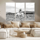 White Horse Wall Art Canvas Print – Framed Woman Rider by MyGreatCanvas | Canvas Wall Art Prints | Photo Prints & Wall Decor