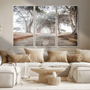 Cypress Tunnel Wall Art – Framed Misty Road Canvas Artwork, by MyGreatCanvas | Canvas Wall Art Prints | Photo Prints & Wall Decor