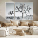 Joshua Tree Wall Art Canvas Print – Framed Black White