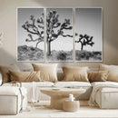 Joshua Tree Wall Art Canvas Print – Framed Monochrome Desert