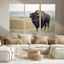 Bison Wall Art Canvas Print – Framed Buffalo American Bison