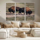Bison Wall Art Canvas Print – Framed Western Wildlife Modern by MyGreatCanvas | Canvas Wall Art Prints | Photo Prints & Wall Decor