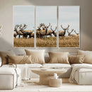 Elk Herd Wall Art Canvas Print – Framed Wildlife Photography by MyGreatCanvas | Canvas Wall Art Prints | Photo Prints & Wall Decor