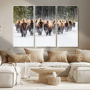 American Bison Herd Wall Art Canvas Print – Powerful Winter by MyGreatCanvas | Canvas Wall Art Prints | Photo Prints & Wall Decor