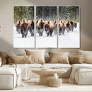 Bison Herd Scene Wall Art Canvas Print – Framed Western by MyGreatCanvas | Canvas Wall Art Prints | Photo Prints & Wall Decor