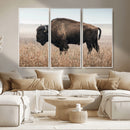 American Bison Wall Art Canvas Print – Majestic Buffalo