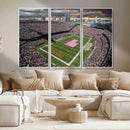Chicago Bears Soldiers Field Wall Art Canvas Print – Framed