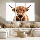 Scottish Highland Cow Canvas Print, Framed Highland Cow