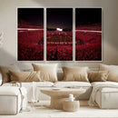 Dooley Stadium Wall Art, Sports Arena Canvas Print, Dooley by MyGreatCanvas | Canvas Wall Art Prints | Photo Prints & Wall Decor