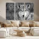 Wild Wolf Blue Eye Wall Art Canvas Print
