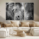 Wild Old Elephant Wall Art Canvas Print