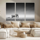 Elephand and Zebra Wall Art Canvas Print, Modern Artwork
