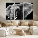 Big Elephant Close Up Wall Art Canvas Print