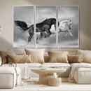 Wild Horses Wall Art Canvas Print – Framed Black and White