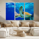 Sea Turtle Wall Art Canvas Print, Sea life in the Ocean Wall