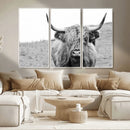 Newfoundland Cow Art Wall Art, Black White Cow Art Wall Art