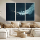 Swimmer Wall Art Canvas Print