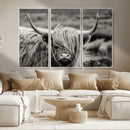 Cow Focus Canvas Wall Art Print by MyGreatCanvas | Canvas Wall Art Prints | Photo Prints & Wall Decor