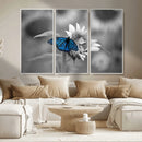 Blue Butterfly Black and White Canvas Wall Art by MyGreatCanvas | Canvas Wall Art Prints | Photo Prints & Wall Decor