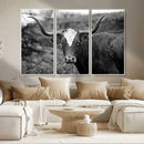 Western Home Wall Art Canvas Print, Framed Texas Longhorn by MyGreatCanvas | Canvas Wall Art Prints | Photo Prints & Wall Decor