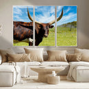 Longhorn and Cow Wall Art, Country Cow Wall Decor Canvas by MyGreatCanvas | Canvas Wall Art Prints | Photo Prints & Wall Decor