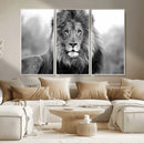 Black and White Lion Canvas Wall Art – Animal Print Artwork