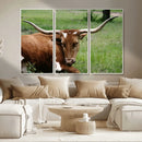 Longhorn Cow Animal Wall Art Canvas Print by MyGreatCanvas | Canvas Wall Art Prints | Photo Prints & Wall Decor