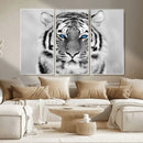 Black and White Tiger Wall Art Animal Canvas Print