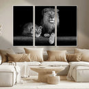 Large Black and White Lion Couple Wall Art Canvas Print –